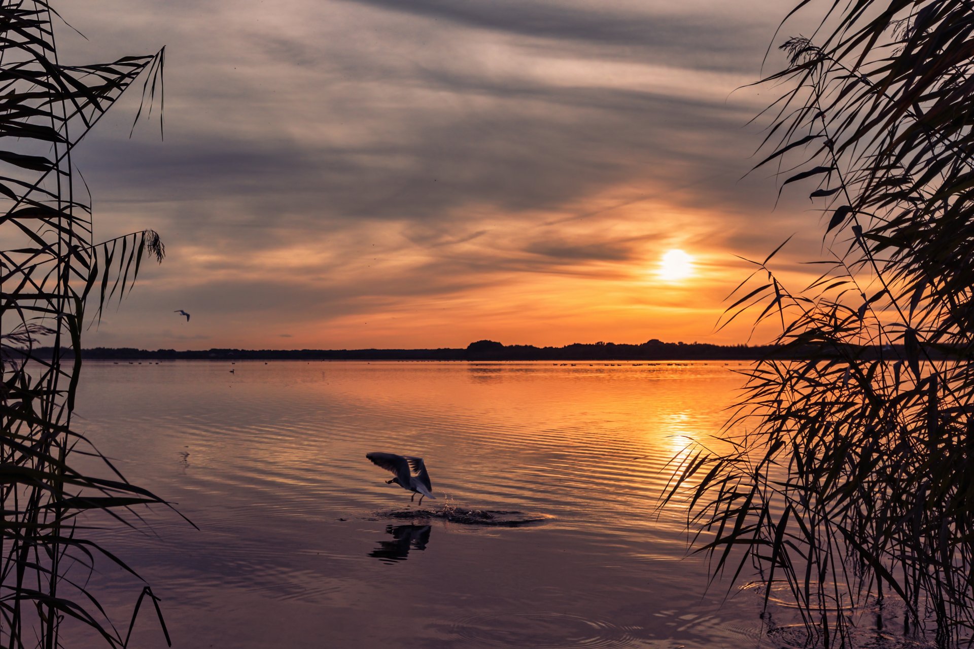 28.09.21 Blankensee I.jpg