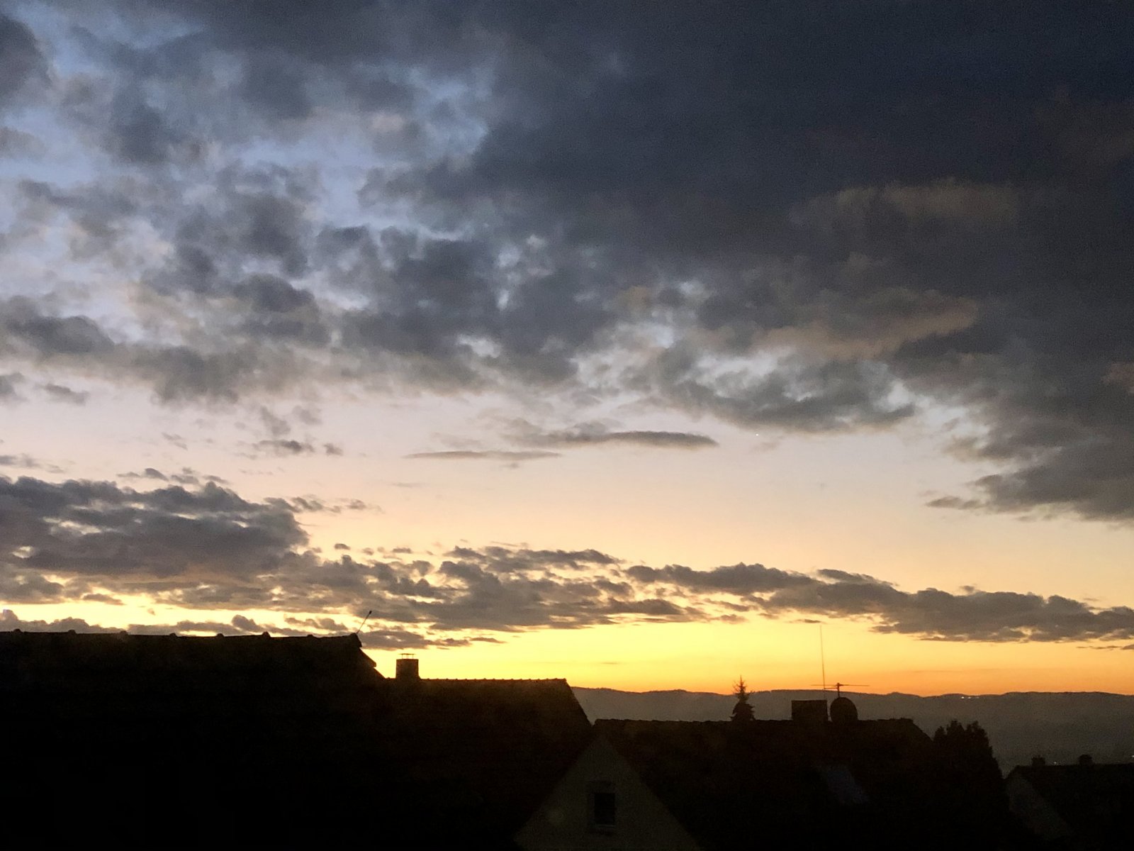 280218C4-58A7-4F71-92B1-AE1E31F4C6C7.jpeg
