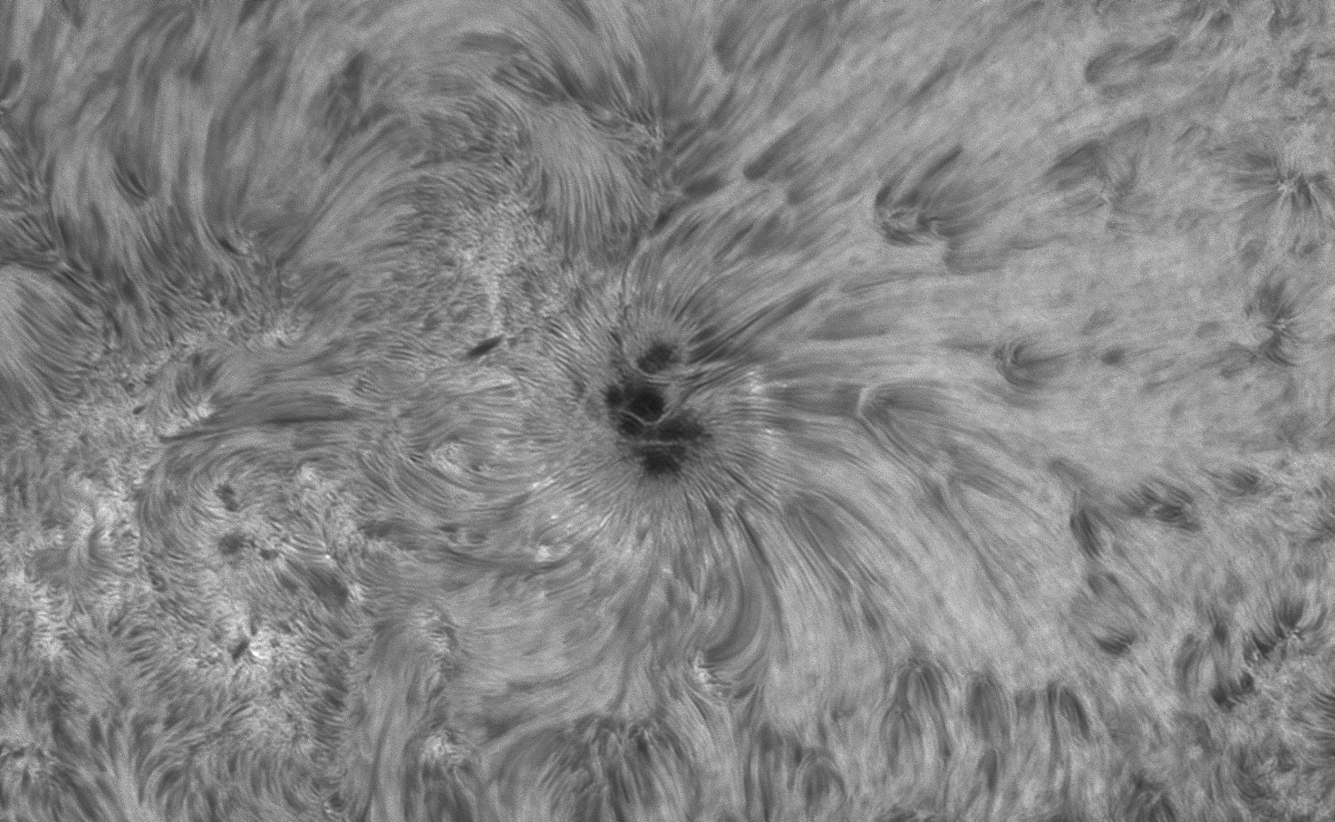 2_2026-07-09-1500_6-Sonne Ha Mak180-6400-DS-AM_P60 (AR4482)-klein.jpg