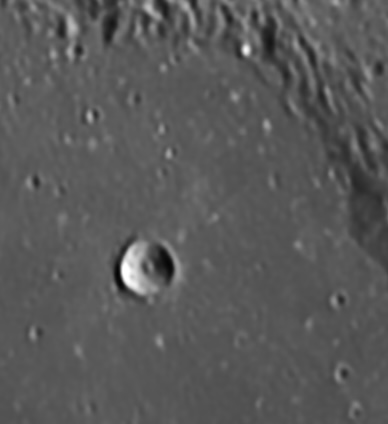 2FAE10F4-E7F2-40BB-9B37-D78622276D2F.jpeg