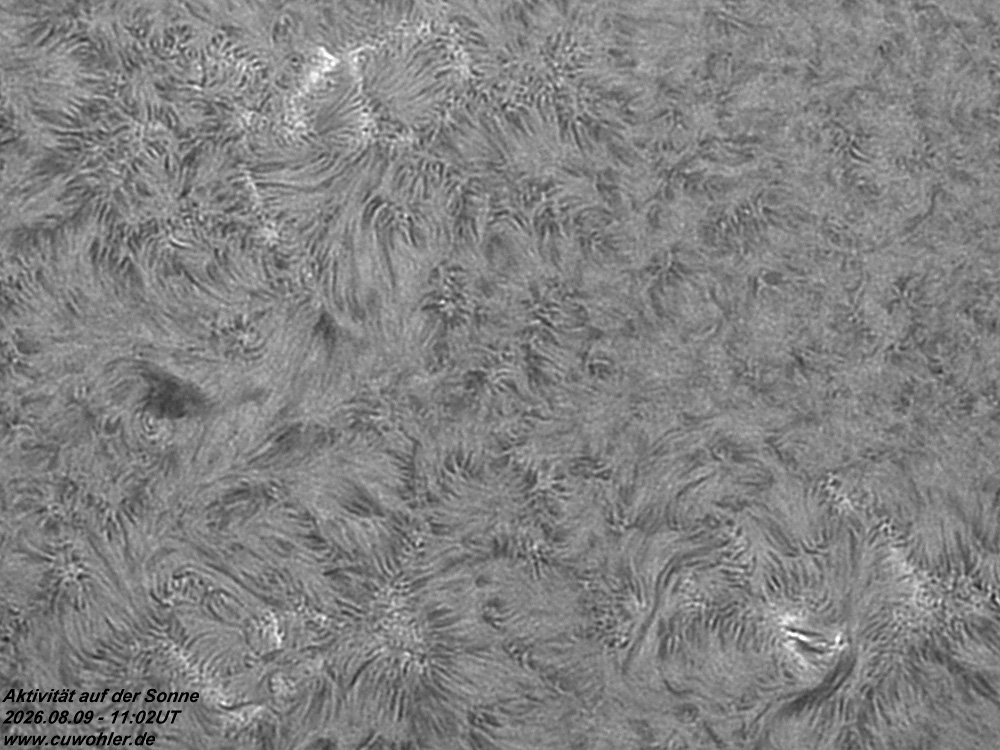 3 - 20260809 - 1102UT.jpg