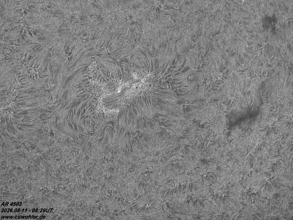 3 - 20260811 - 0829UT.jpg