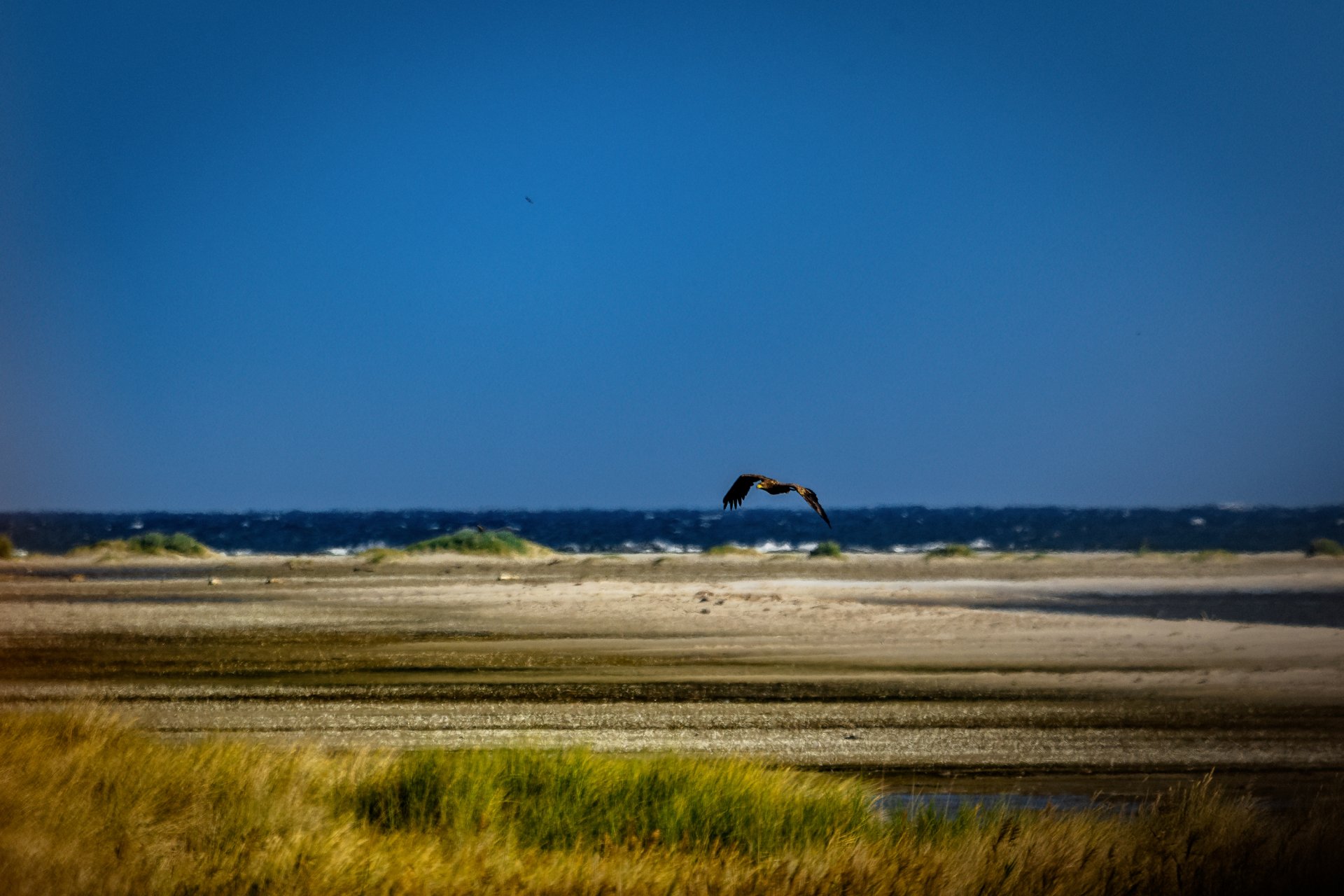 30.09.23 Seeadler I.jpg