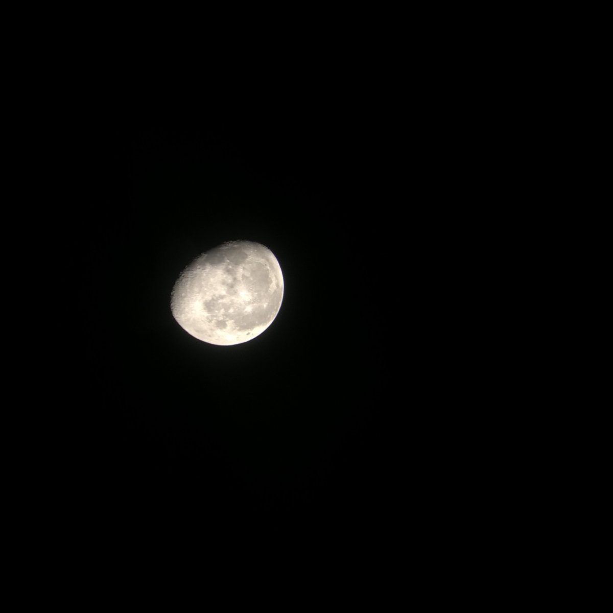 33EC3646-C230-489D-B404-A65689E41AF7.jpeg