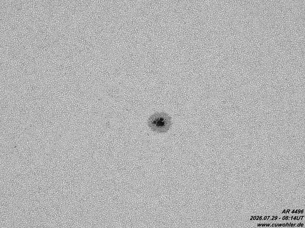 4 - 20260729 - 0814UT.jpg