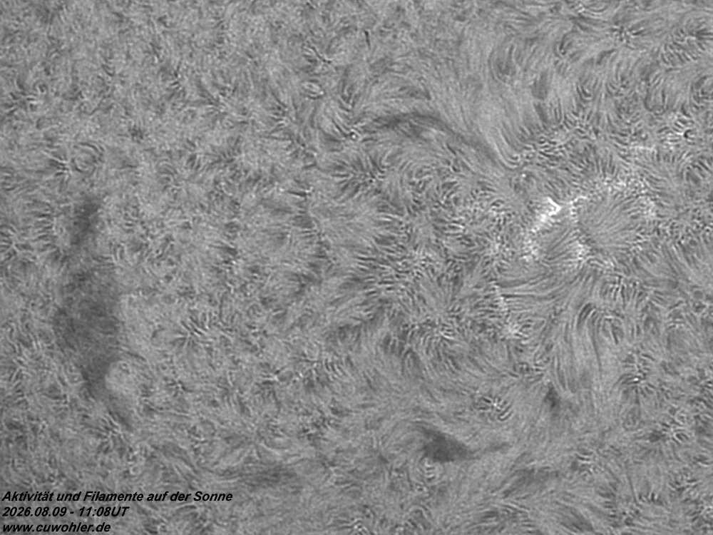 4 - 20260809 - 1108UT.jpg