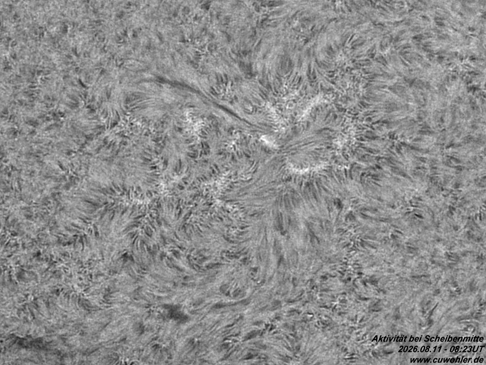 4 - 20260811 - 0823UT.jpg