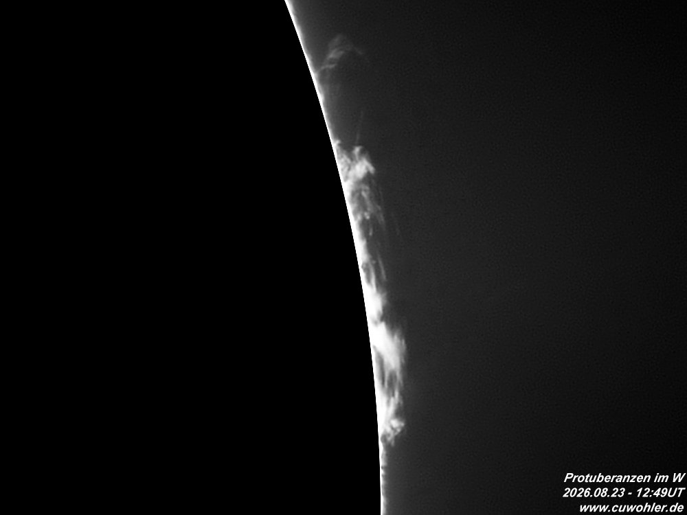 4 - 20260823 - 1249UT.jpg