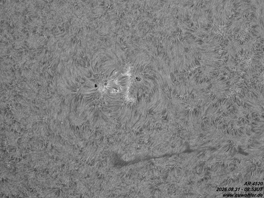 4 - 20260831 - 0853UT.jpg