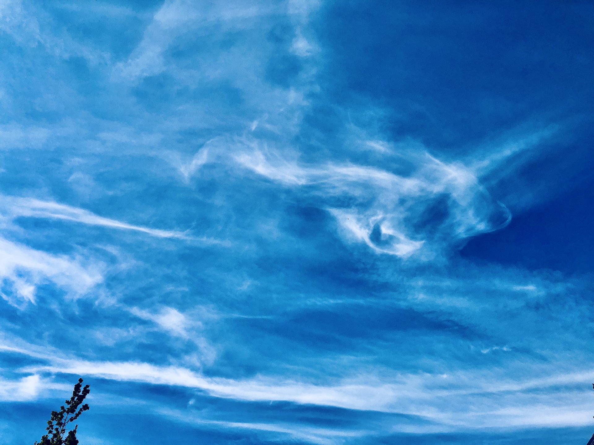 4236A682-0172-463B-A50F-500A461D0617.jpeg