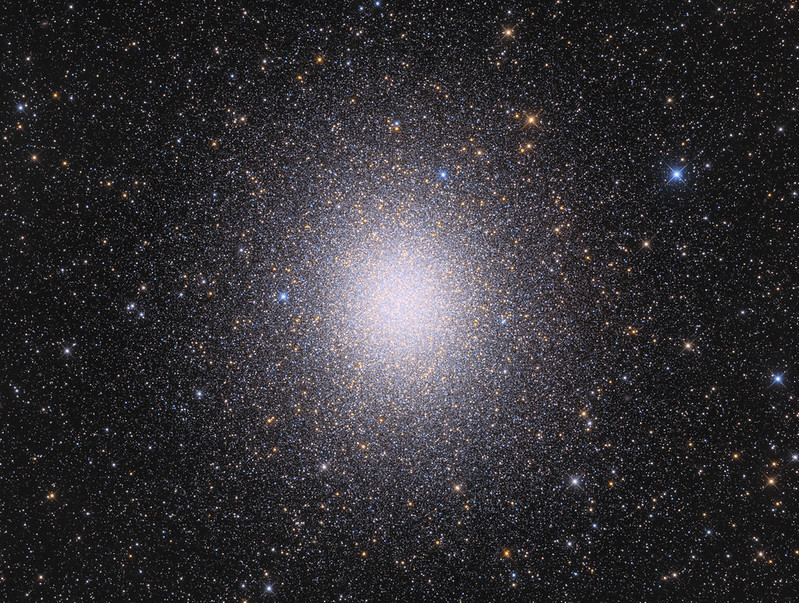 48565993866_c77303ee01_c.jpg