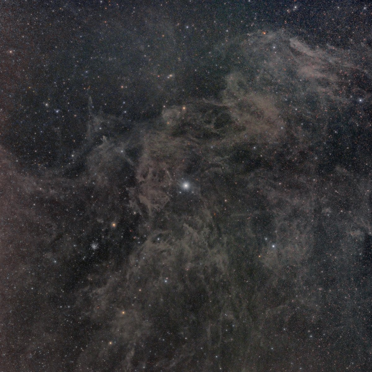 49689653696_84c92288cb_k.jpg