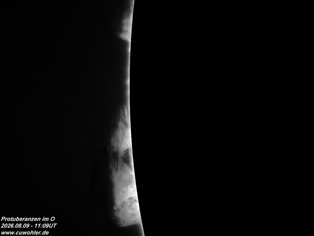 5 - 20260809 - 1109UT.jpg