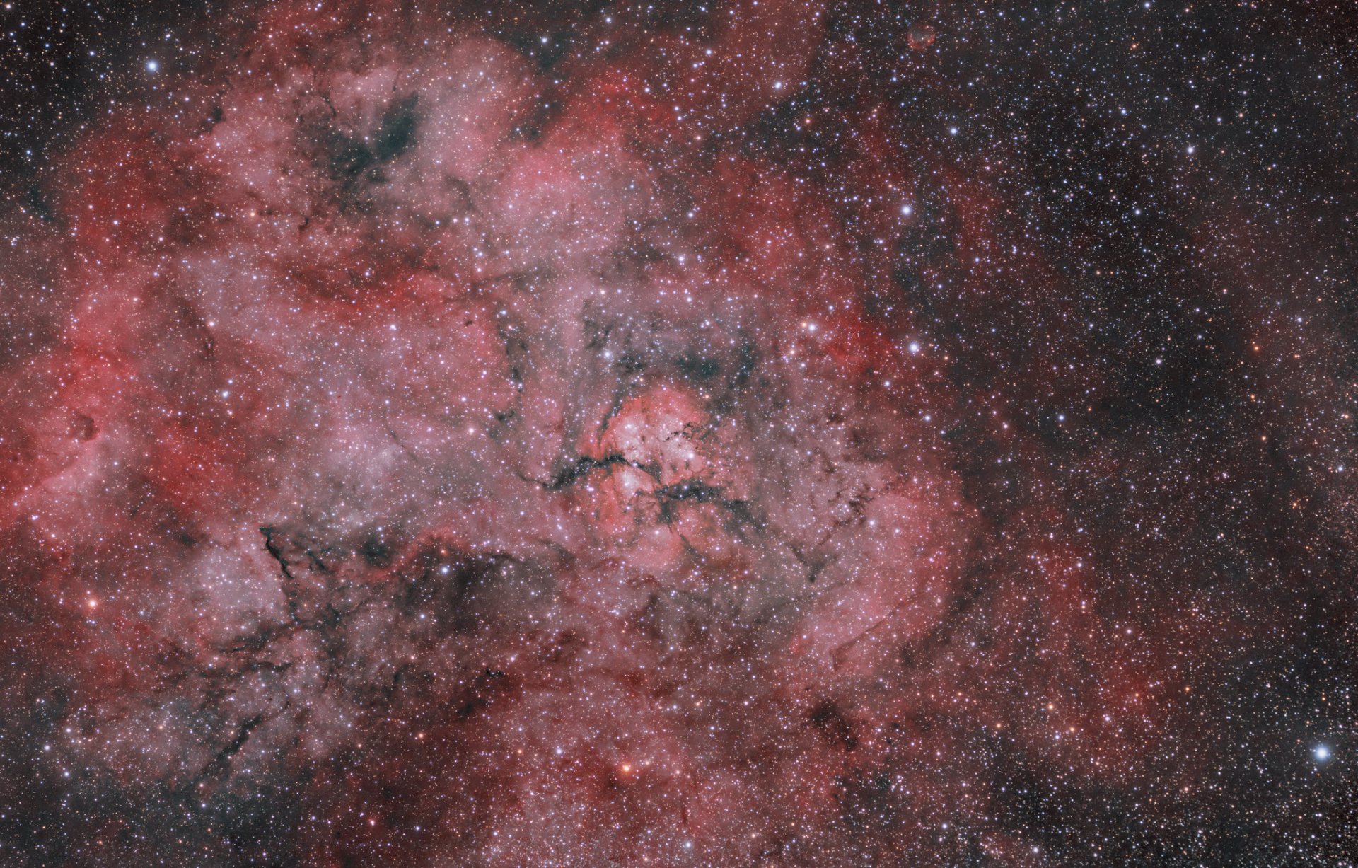 51364855897_8d1c292040_k.jpg