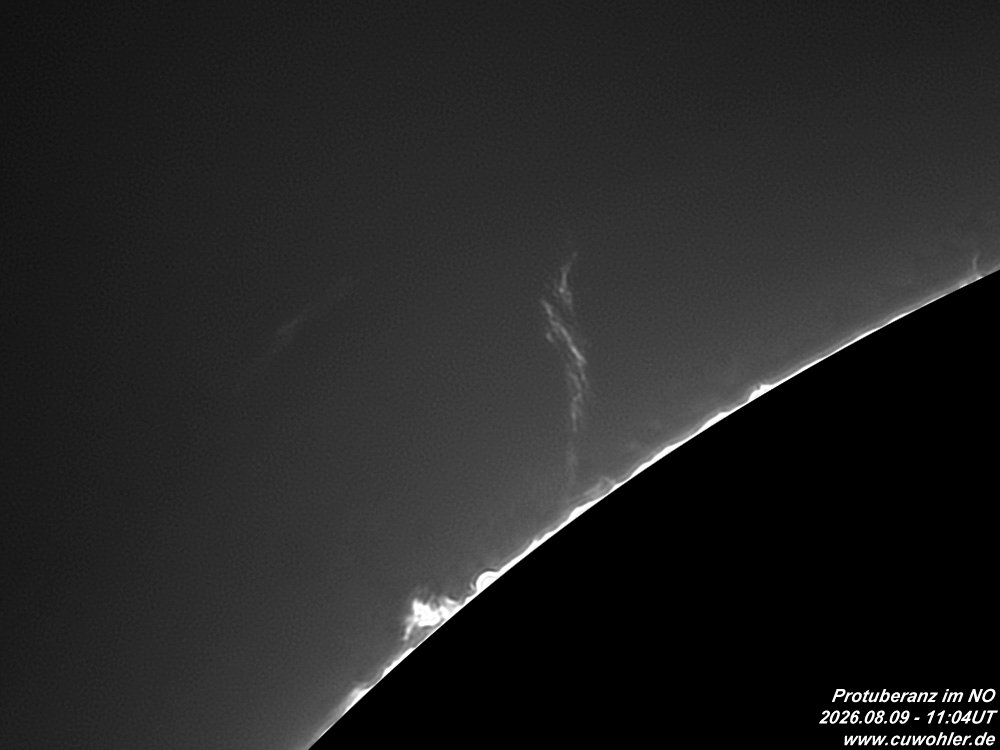 6- 20260809 - 1104UT.jpg