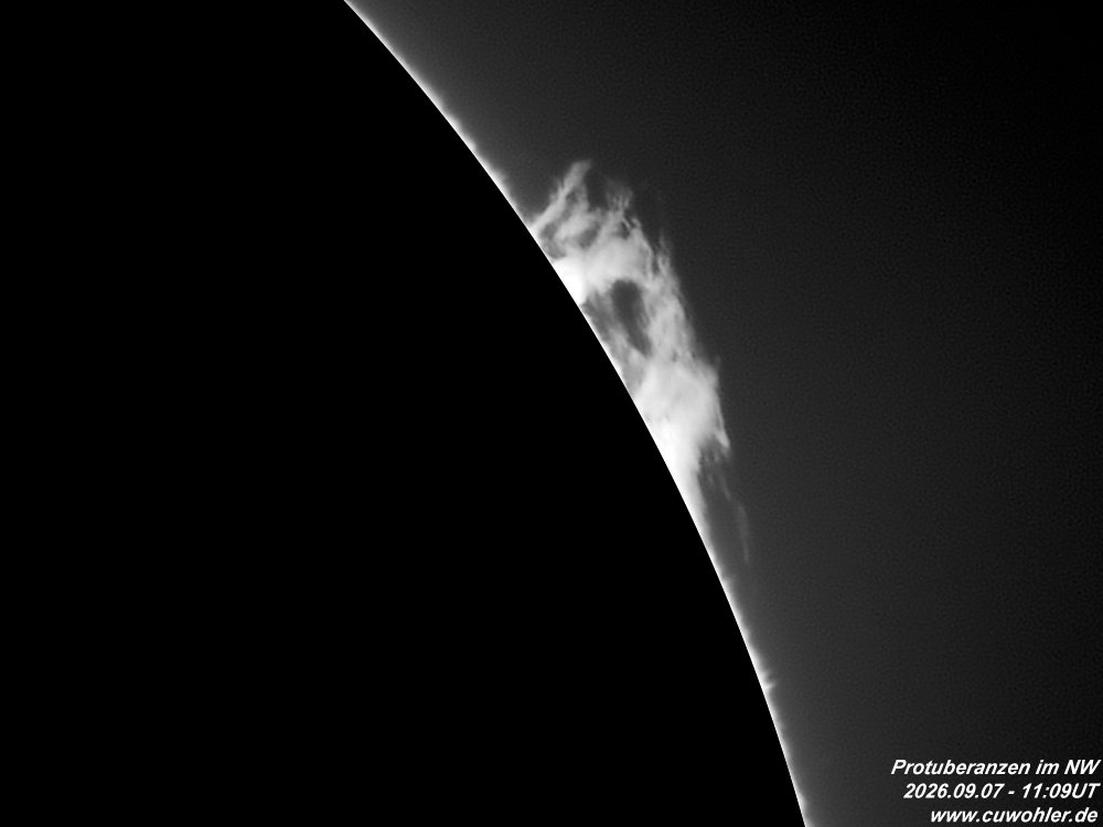 6 - 20260907 - 1109UT.jpg