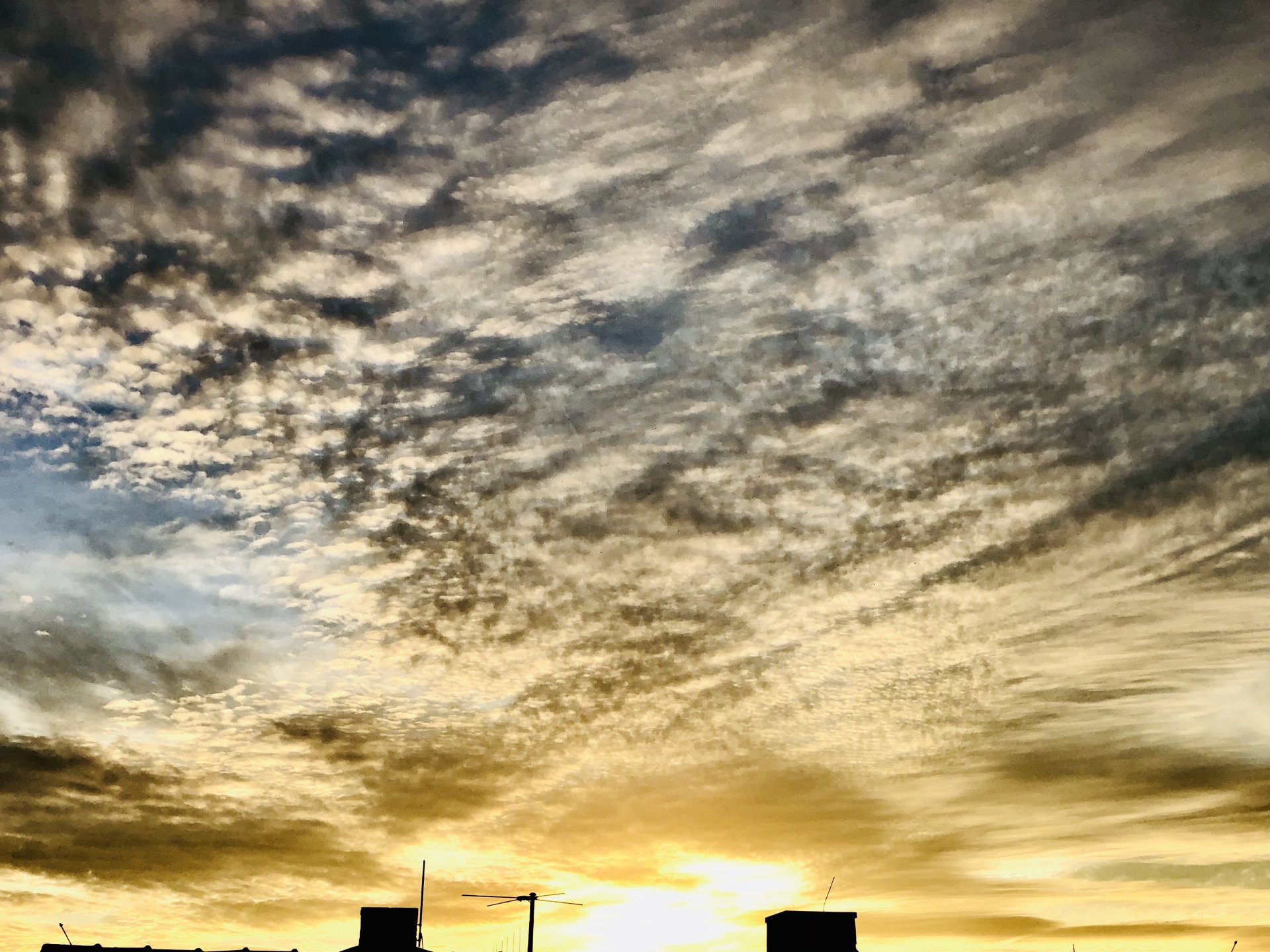 61BB1219-B908-493D-877E-847746DF4153.jpeg