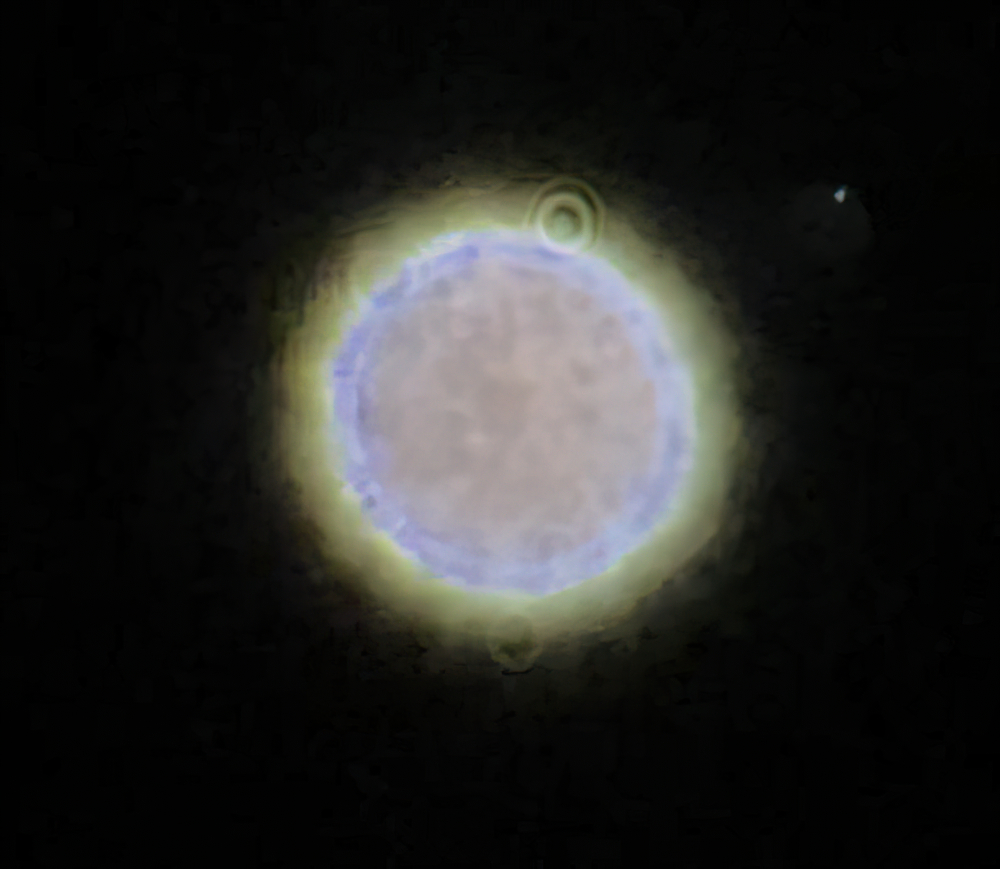 649eadbb-75da-4dfa-9223-5ce9adb7498b.JPG