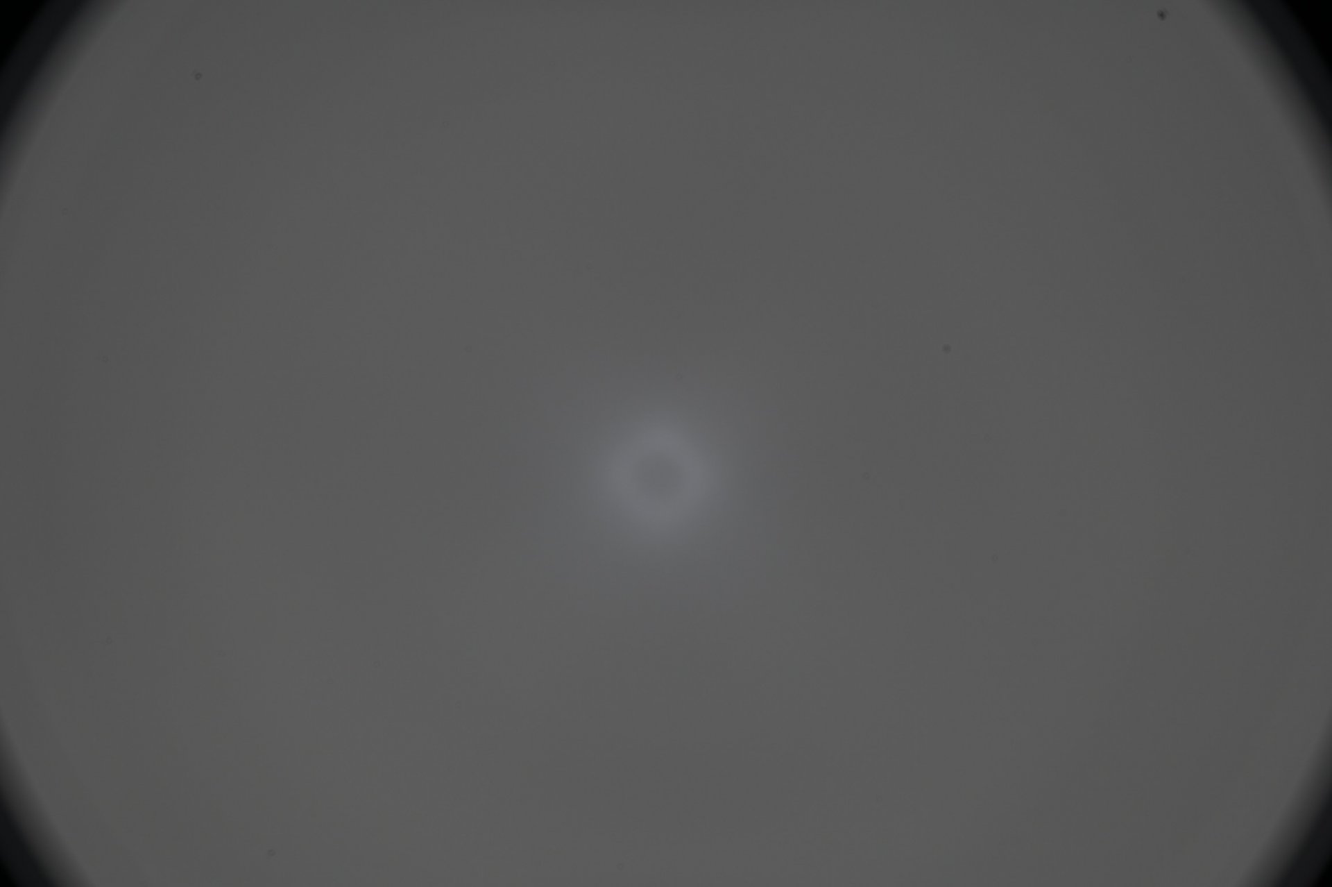 68B45034-D96E-4627-A947-FC576A660EE2.jpeg