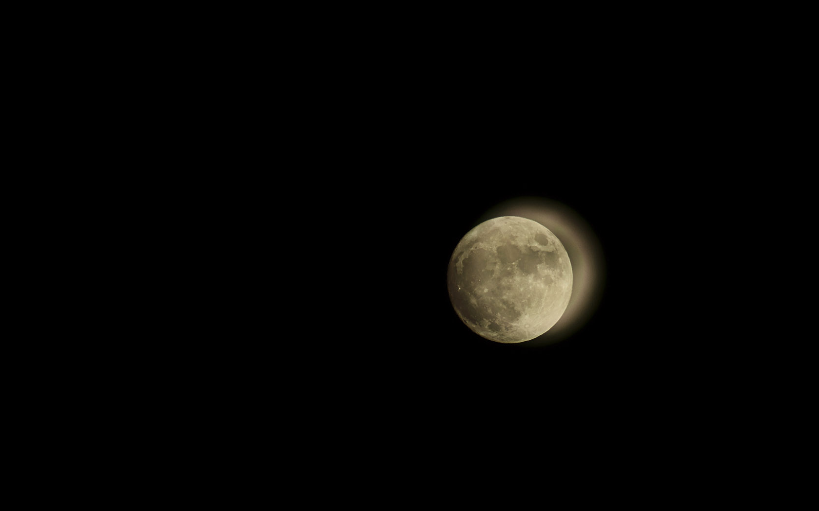 6P1A4957.jpg