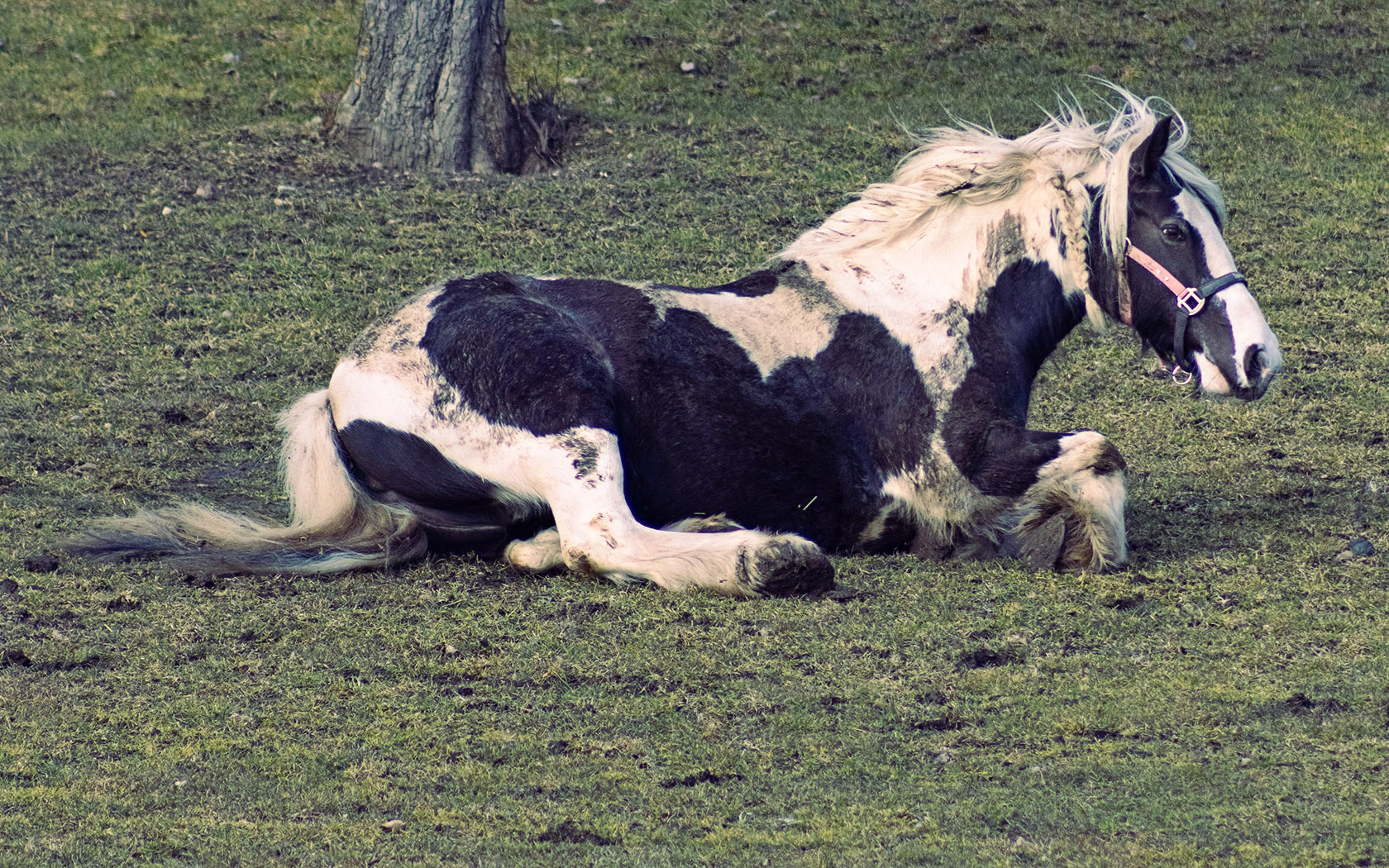 6P1A7023.jpg