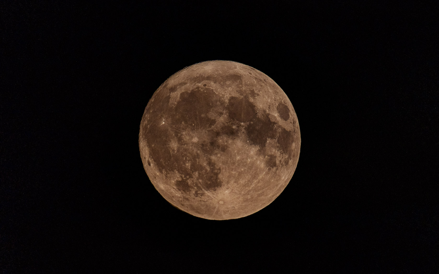 6P1A9968.jpg