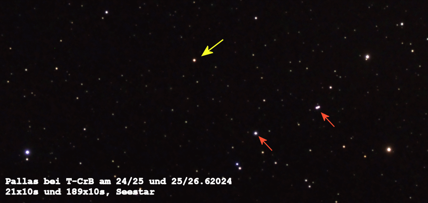6pallas24j24anni.gif