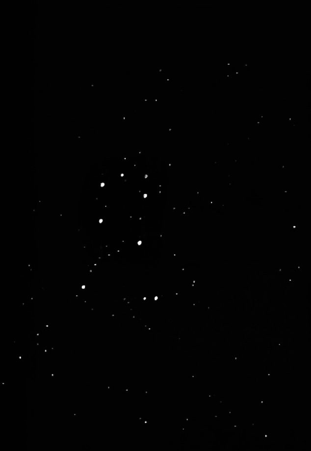 73470C78-3037-4D56-94C4-335405E4FE8F.jpeg