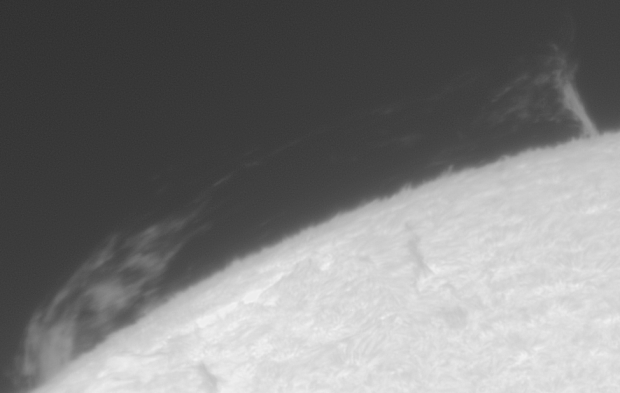 764487001791823005.gif