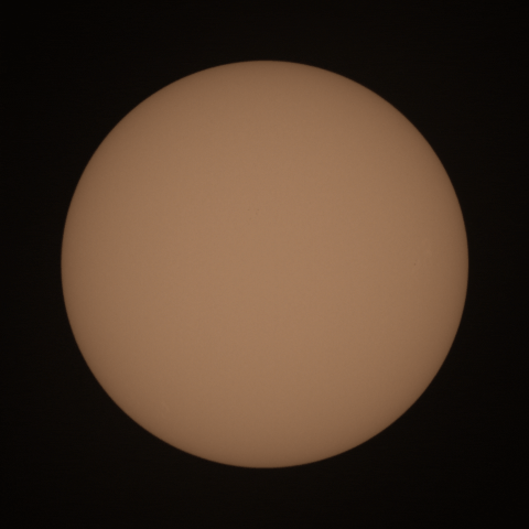 7D_52455_pipp.gif