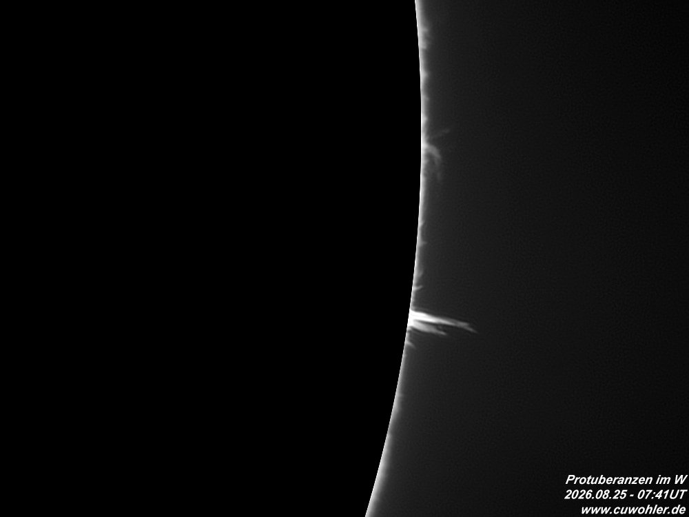 8 - 20260825 - 0741UT.jpg
