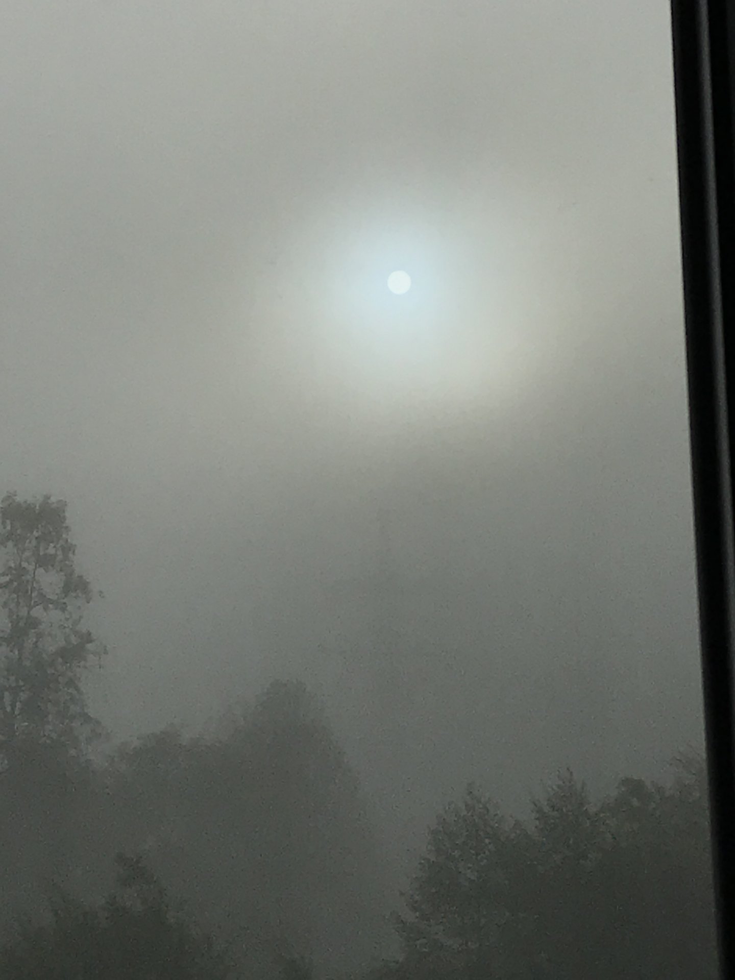 805AC740-FA7A-45F2-B67D-6C54D2A03FF1.jpeg
