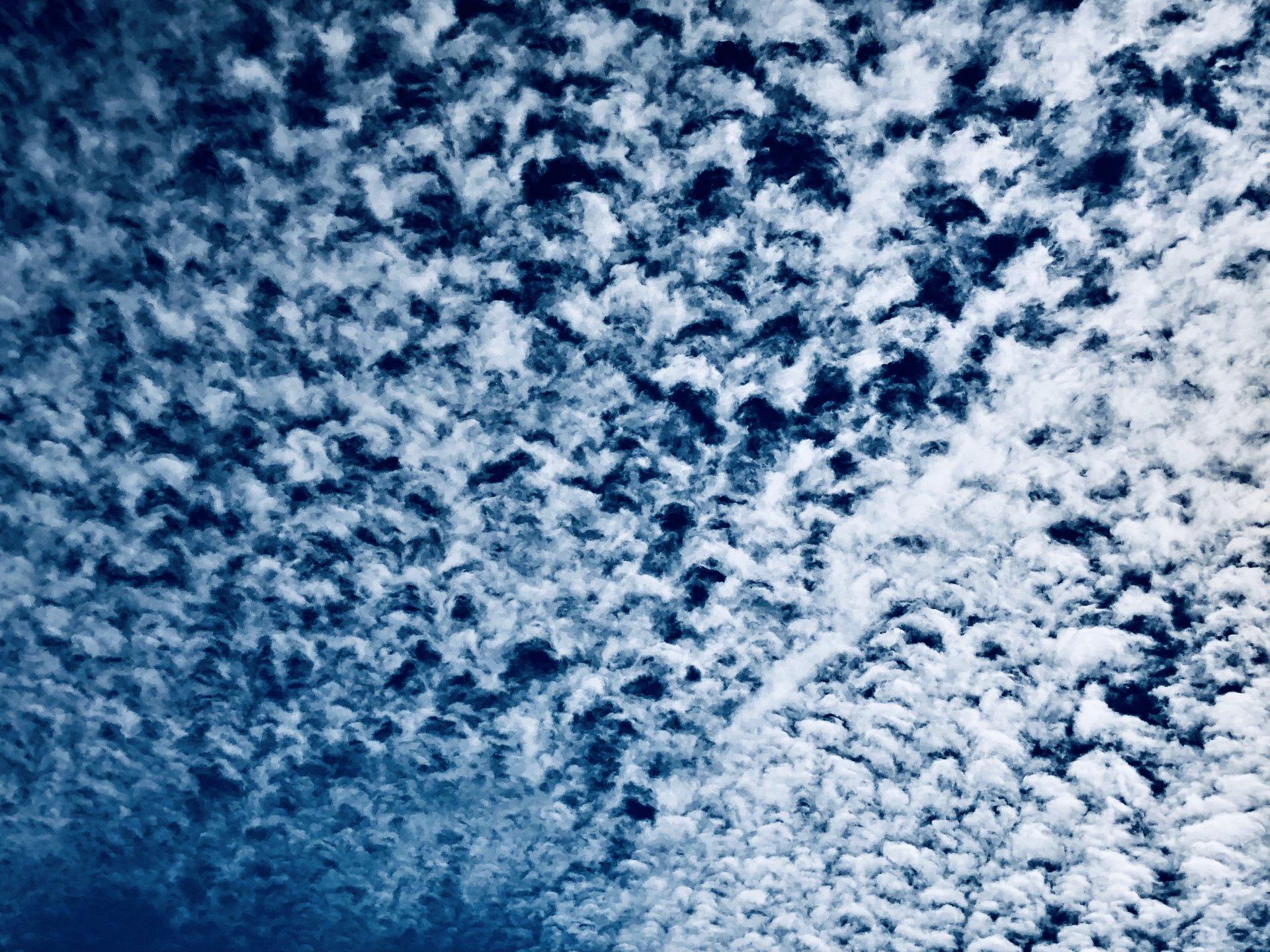 83E76634-CDFE-415F-B381-233EB22D34B8.jpeg