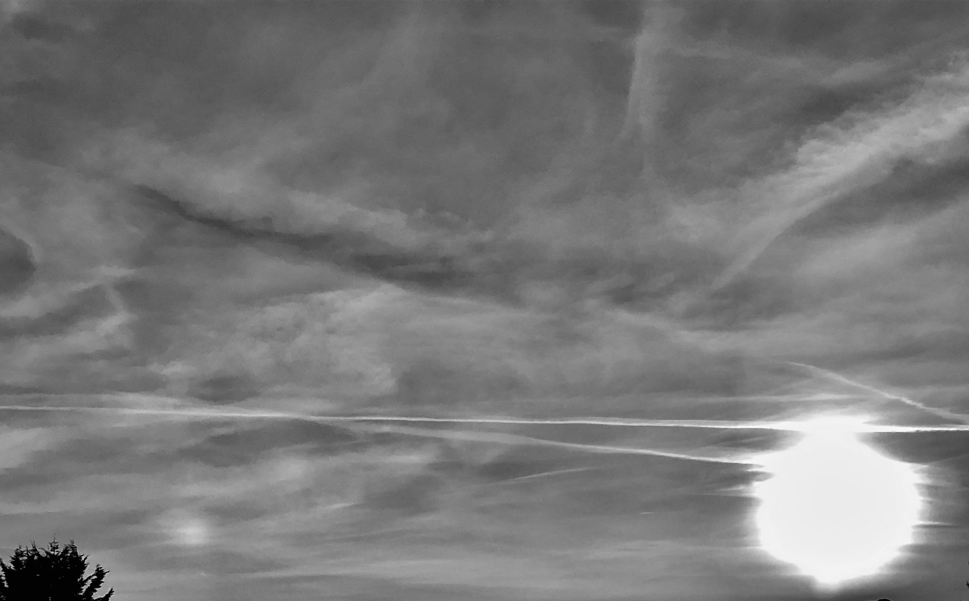 876F1871-4DD9-4DF7-AEB4-C05AAA54E79A.jpeg