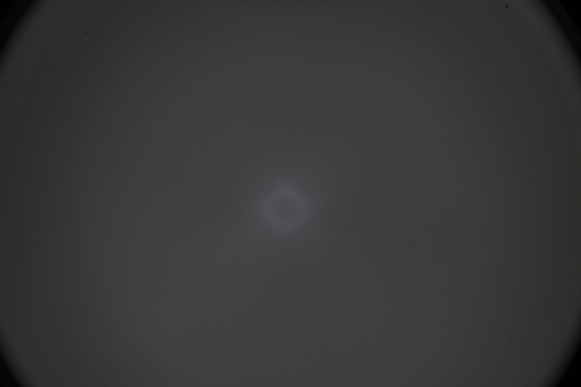 8A18952C-F939-4207-9A68-99601DE2440E.jpeg