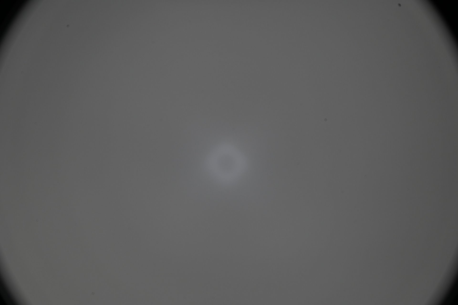 925703BA-7664-4437-8149-1DDE26EE791A.jpeg