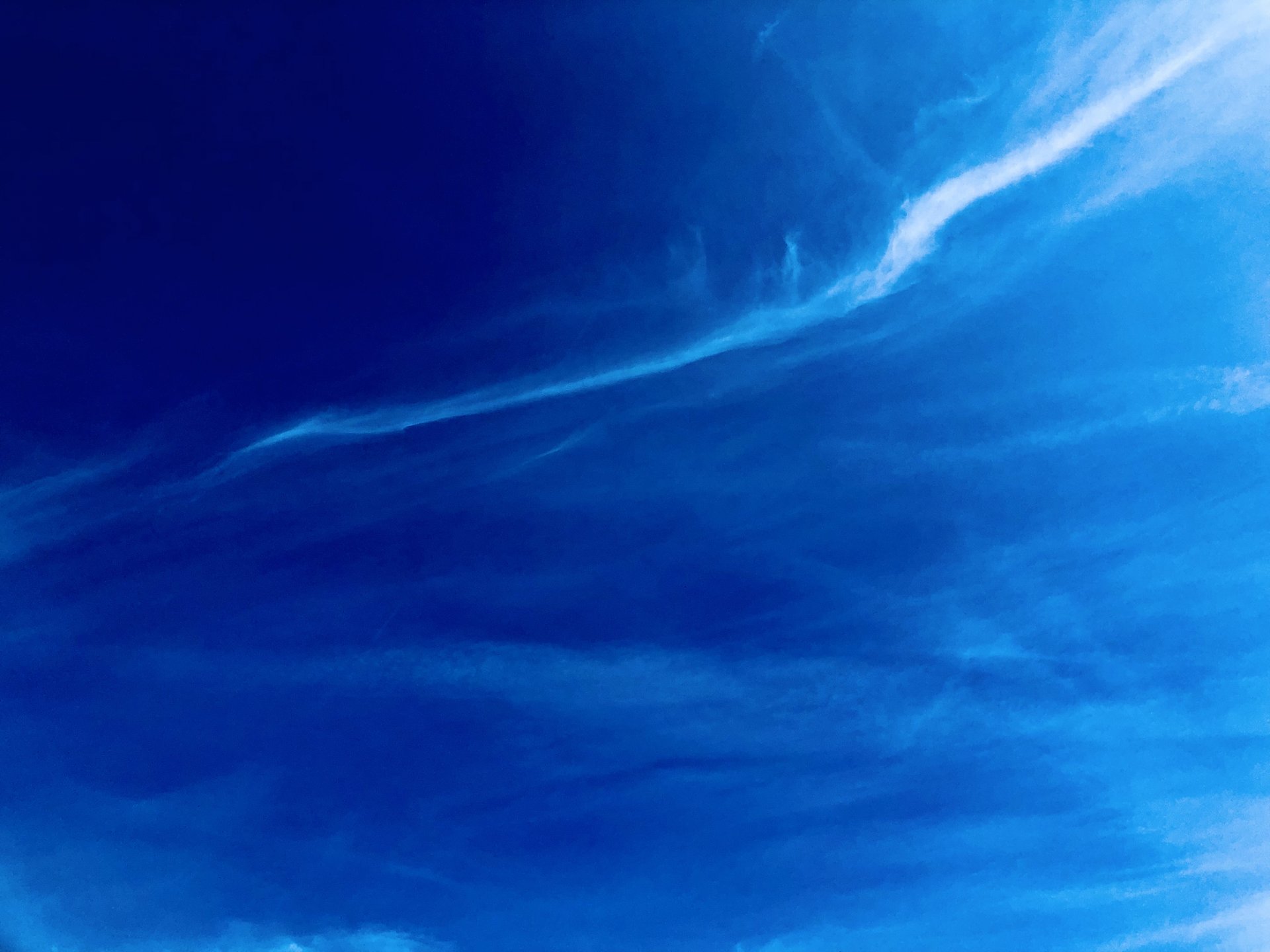 94994FCE-DF1E-4881-AAE0-281EE76741EC.jpeg