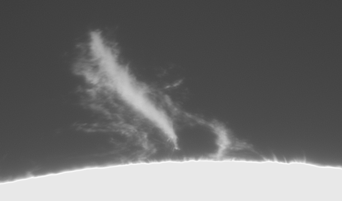 998150001786025907.gif