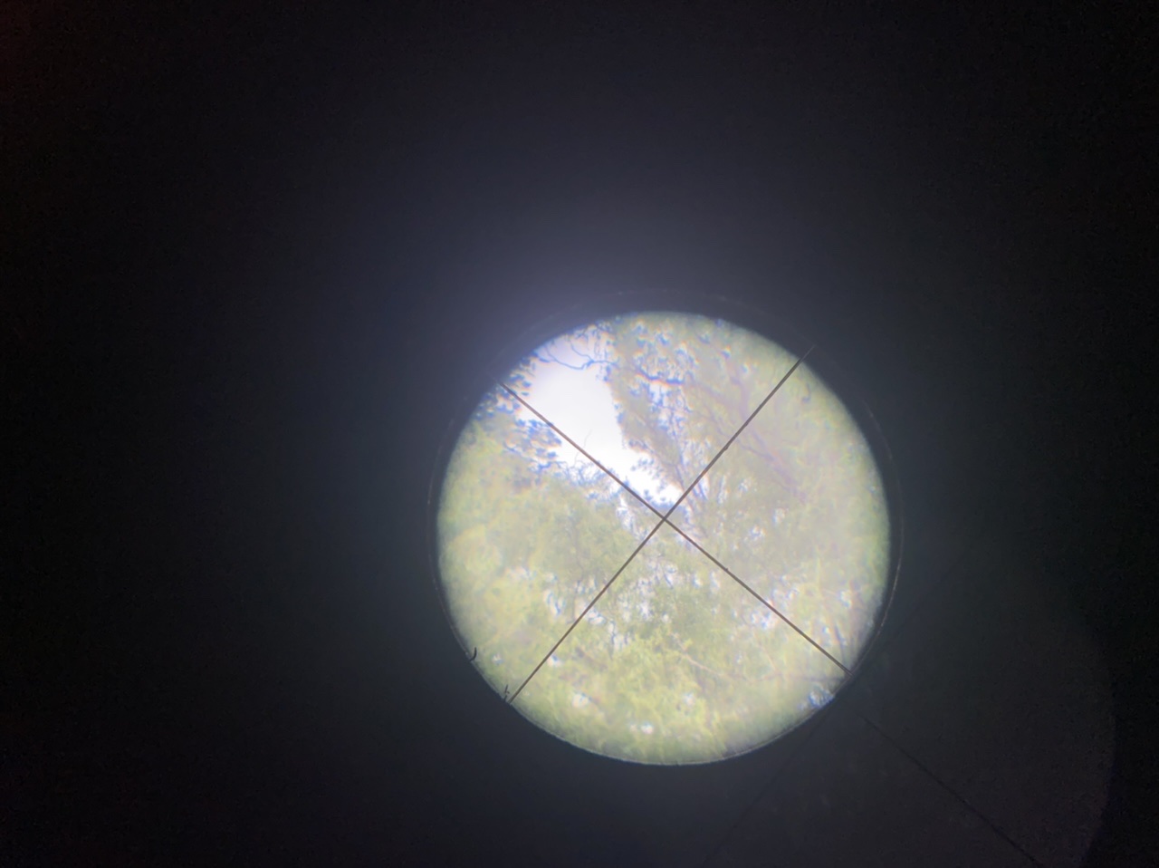 9E913960-9106-4685-8977-21B84525C150.jpeg