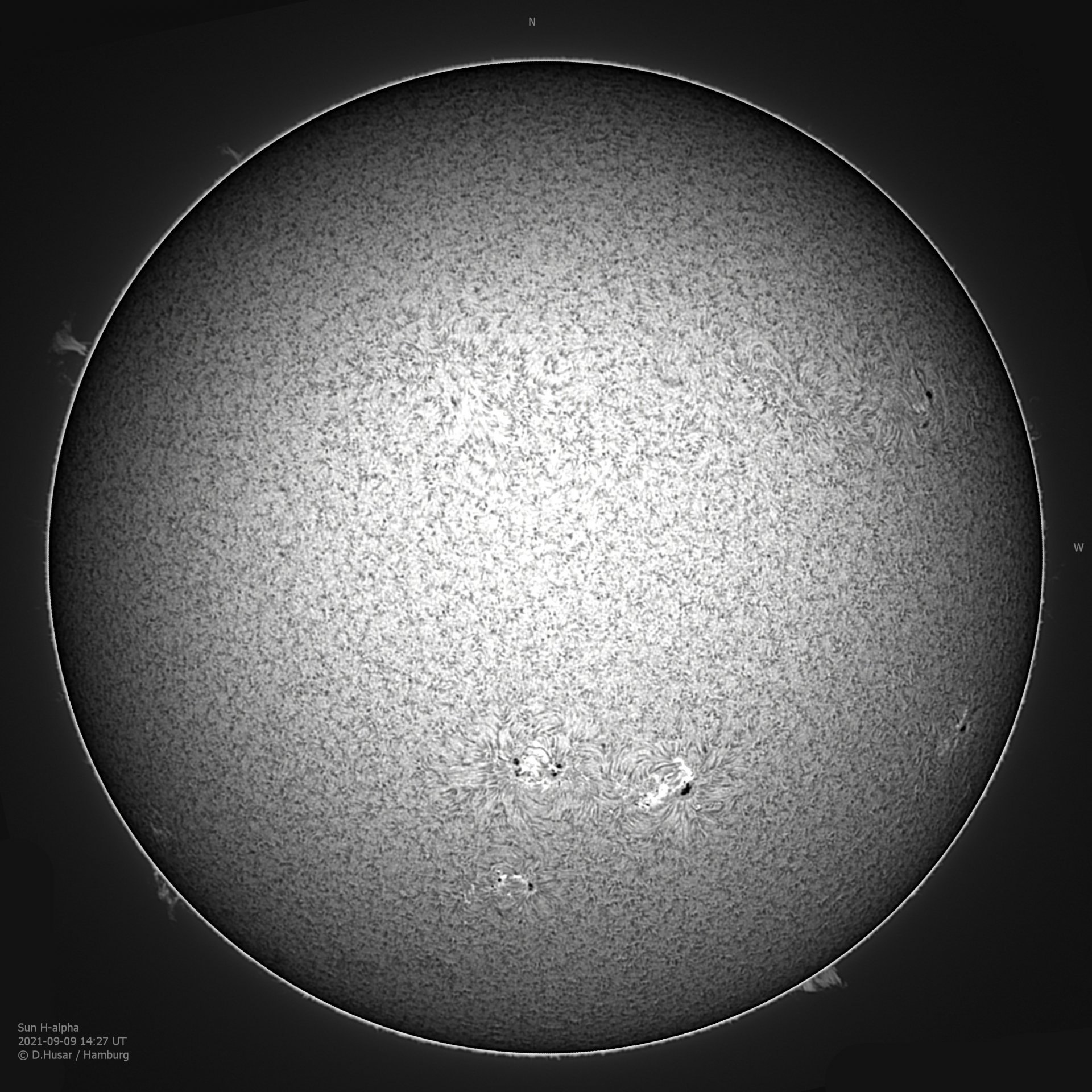 _4 20210909 14_26_42 HA-L H rot-12 wTXT.jpg