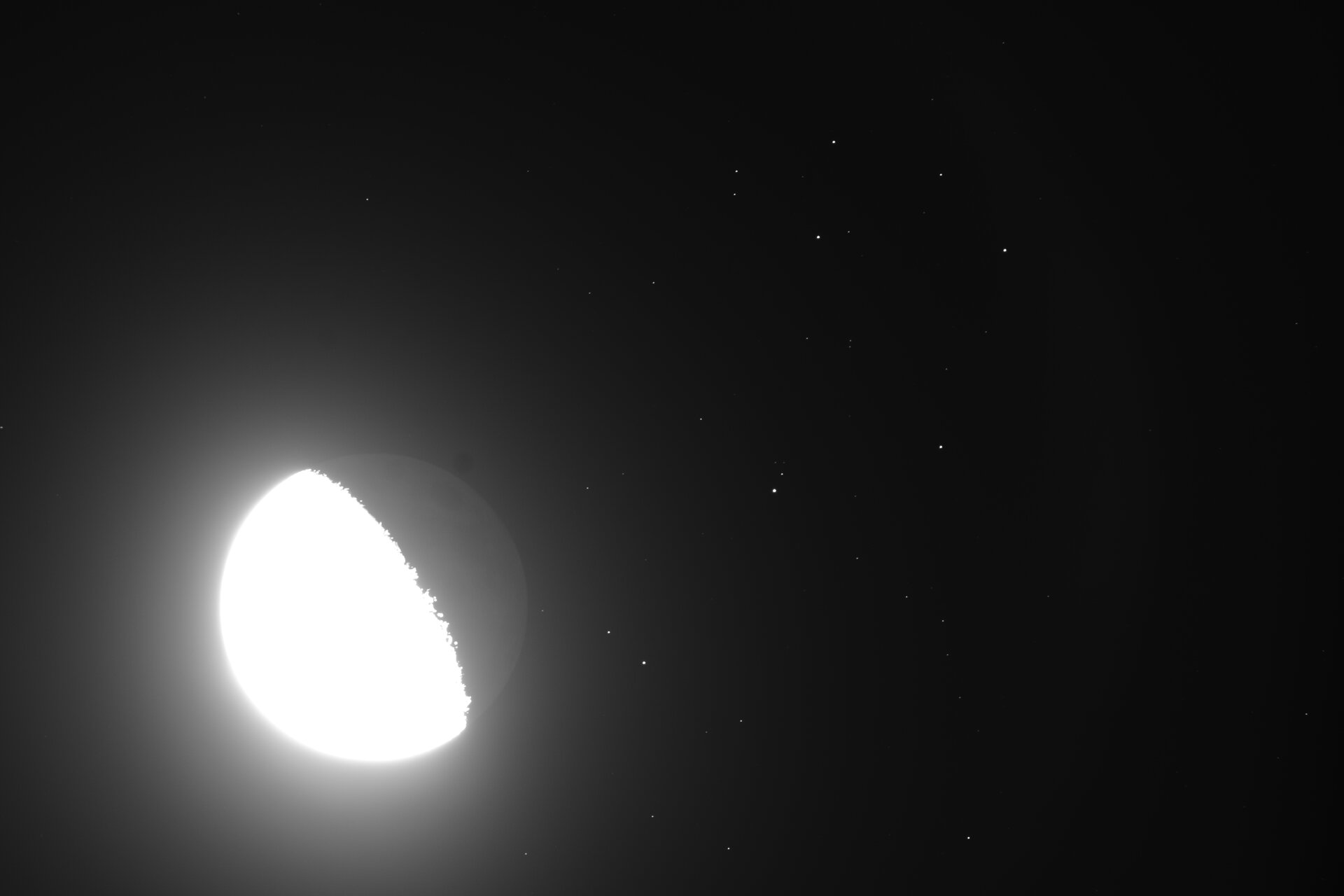 _D719470.JPG