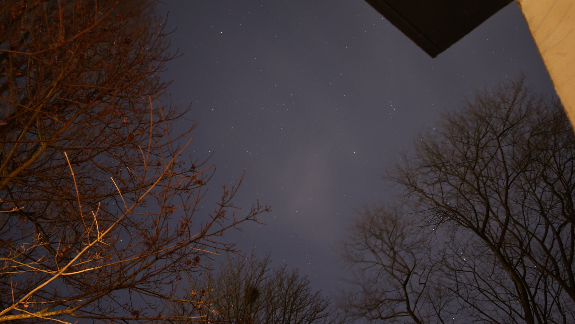 _MG_0380.JPG