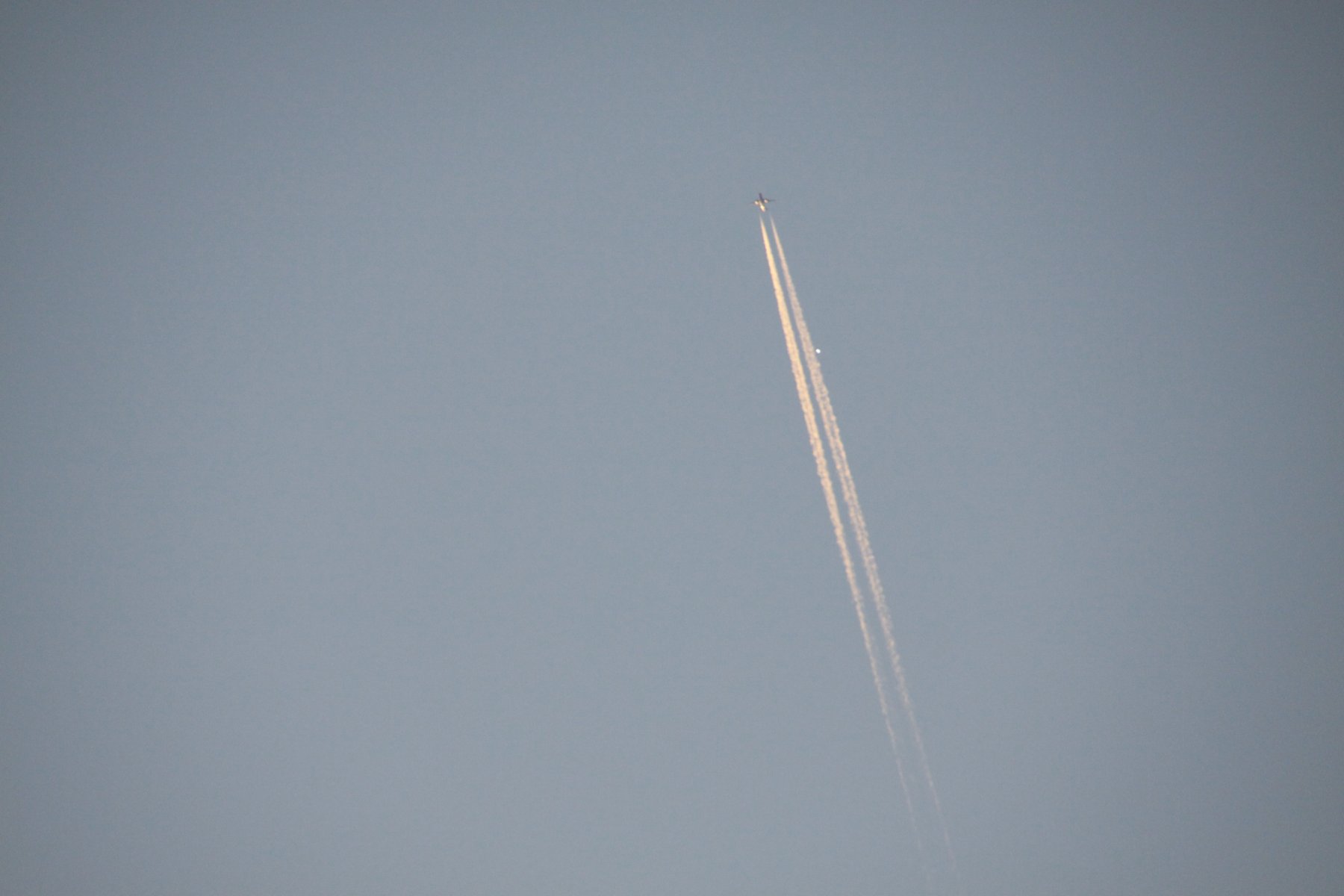 _MG_2466.JPG