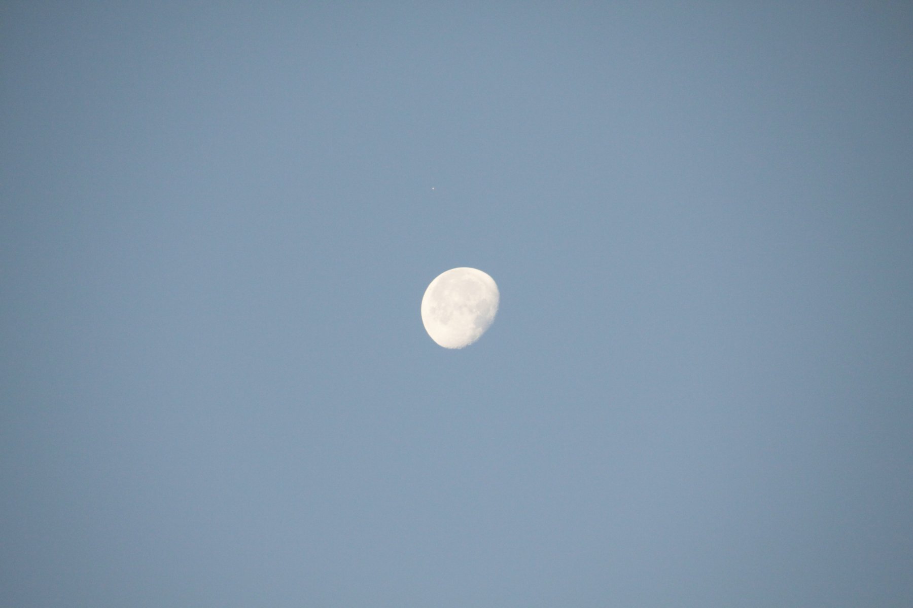 _MG_2480.JPG