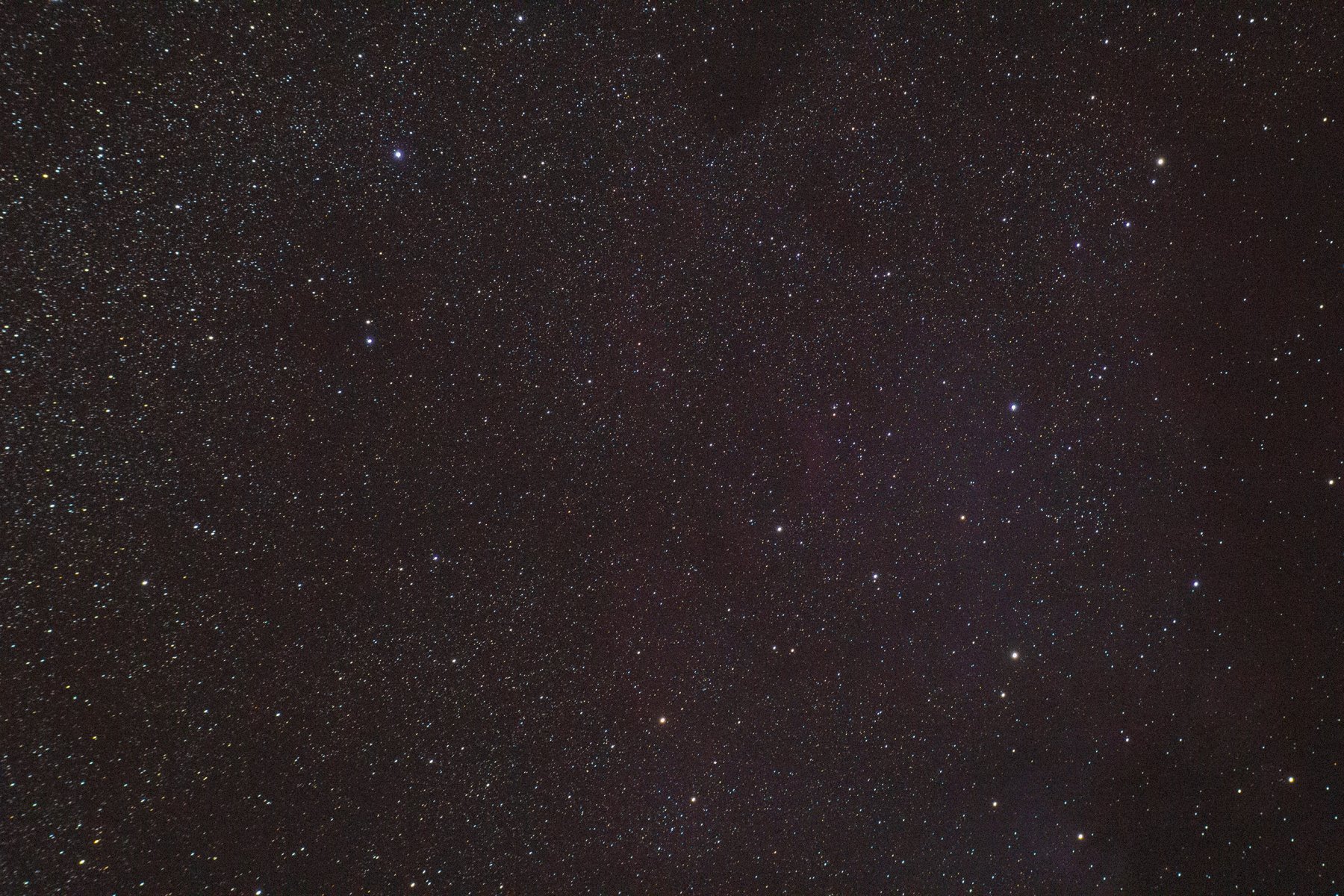 _MG_2980.jpg