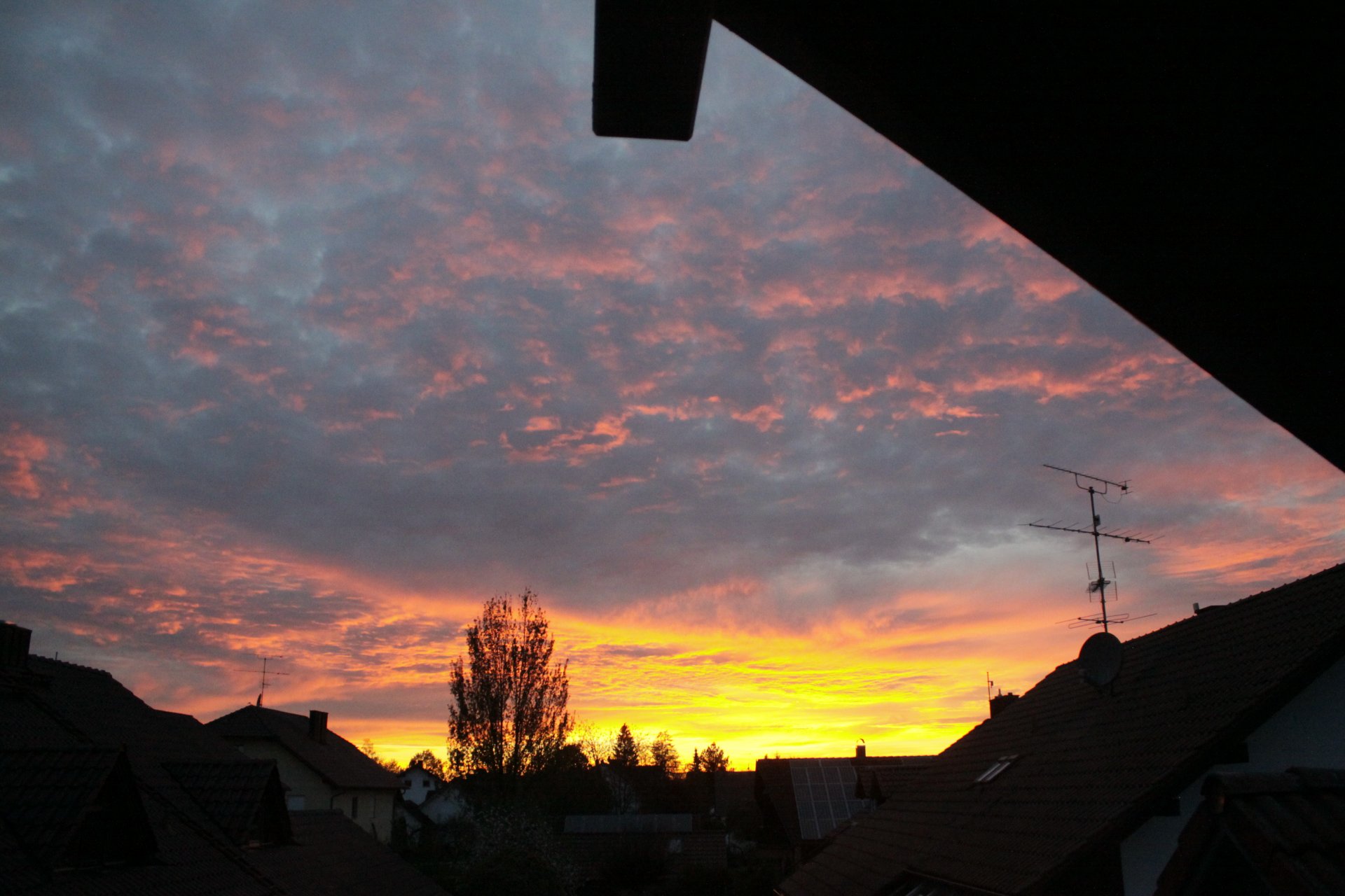 _MG_5854.JPG