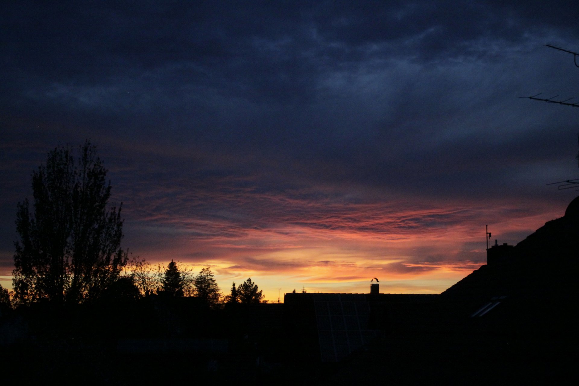 _MG_5857.JPG