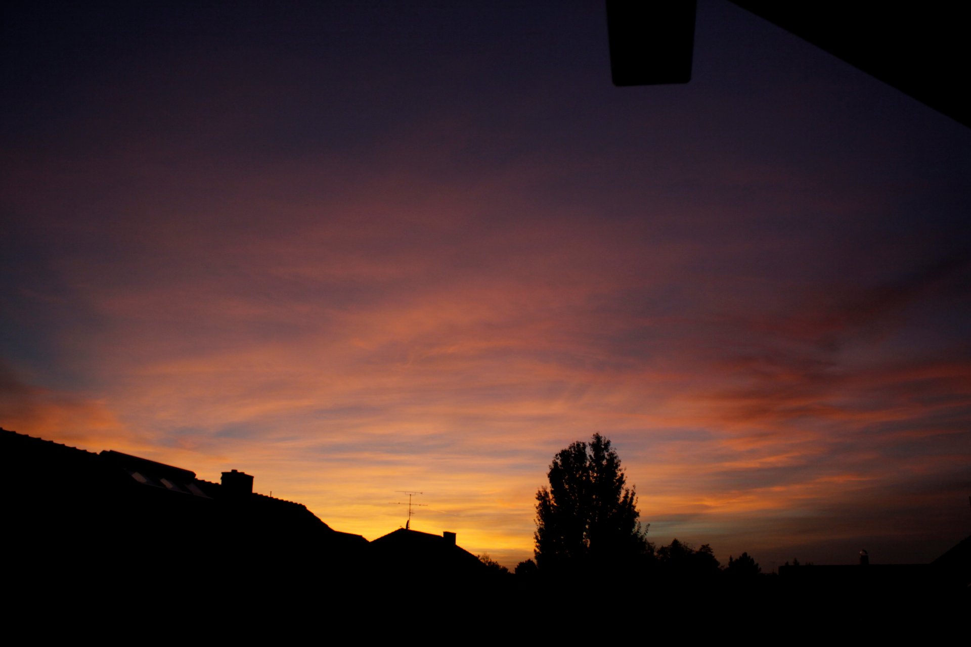_MG_6833.JPG