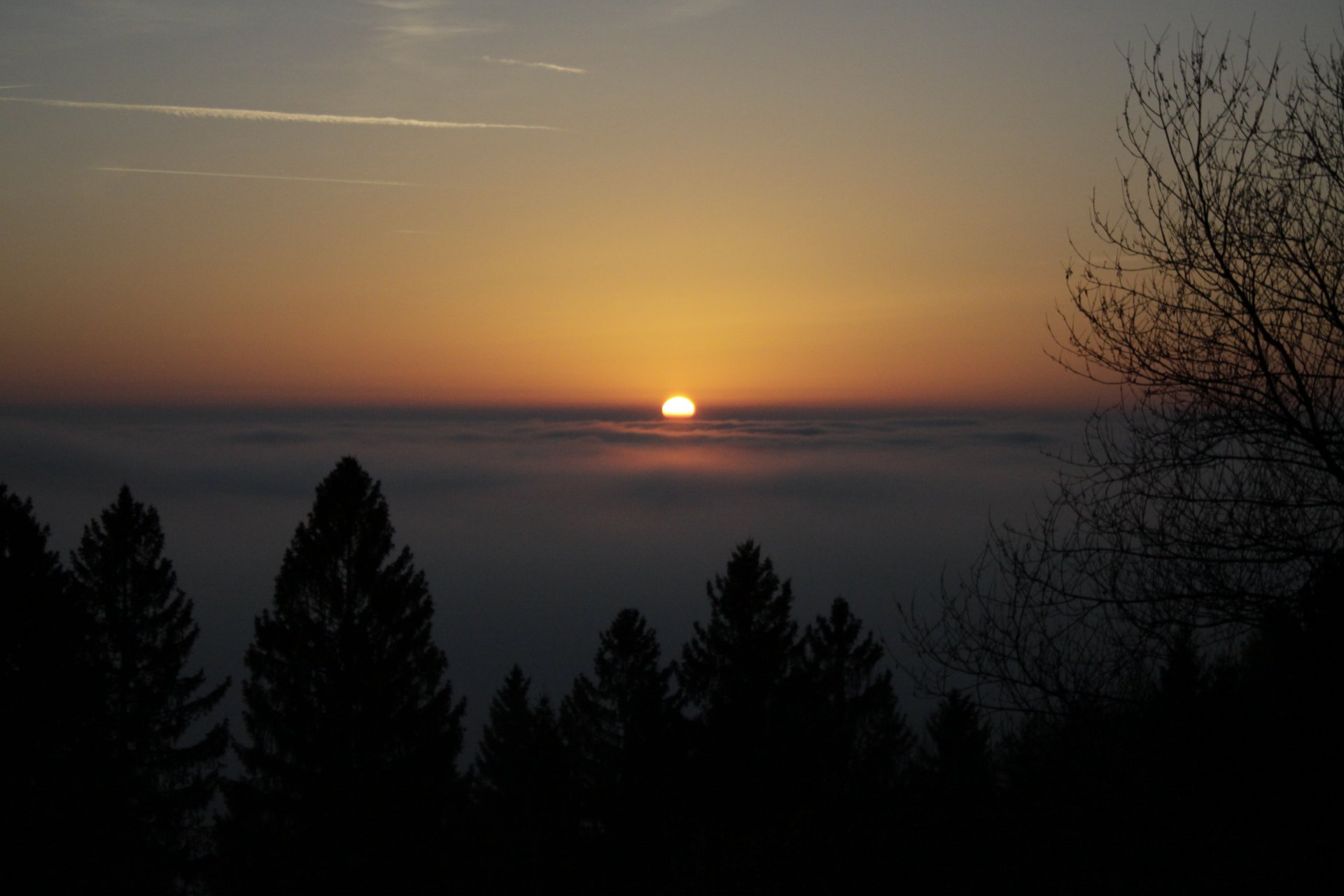 _MG_7171.JPG