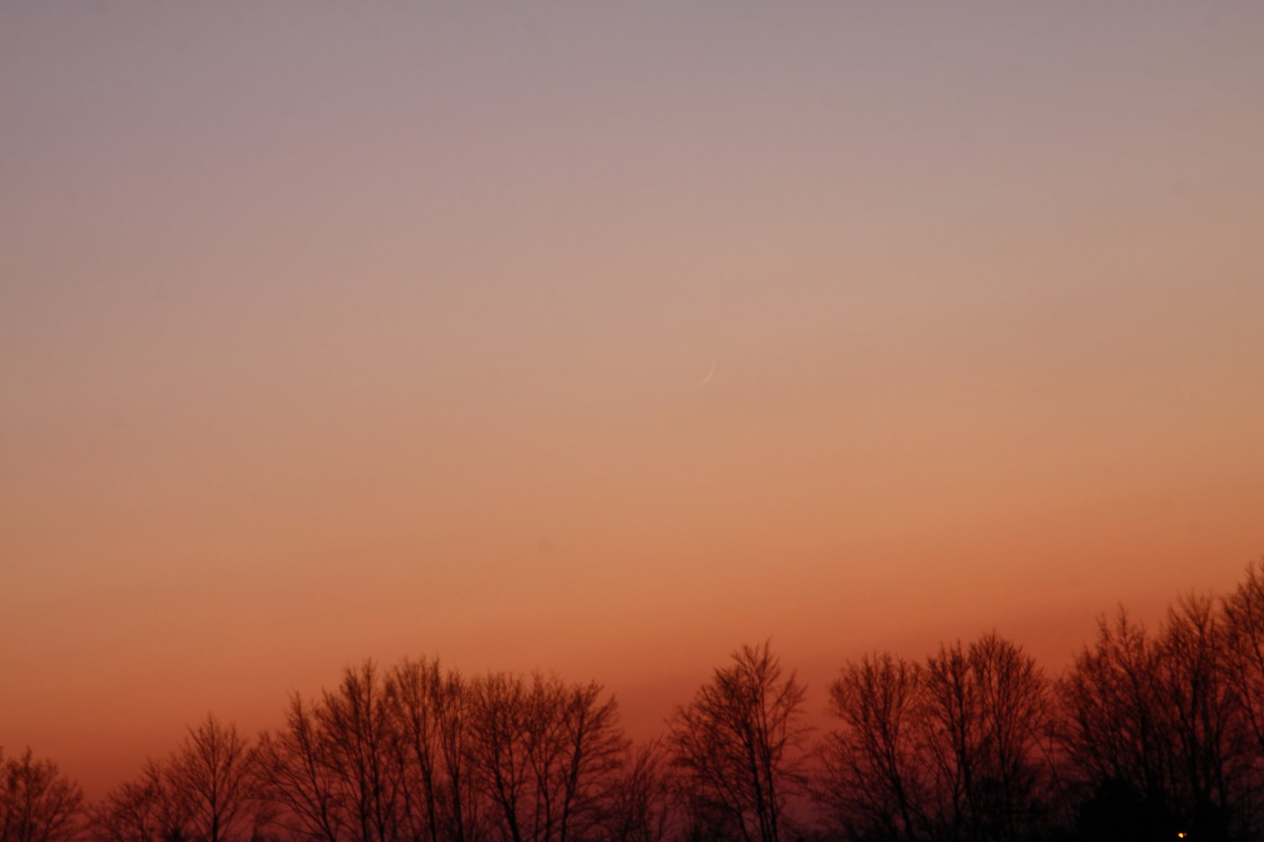 _MG_8585.JPG